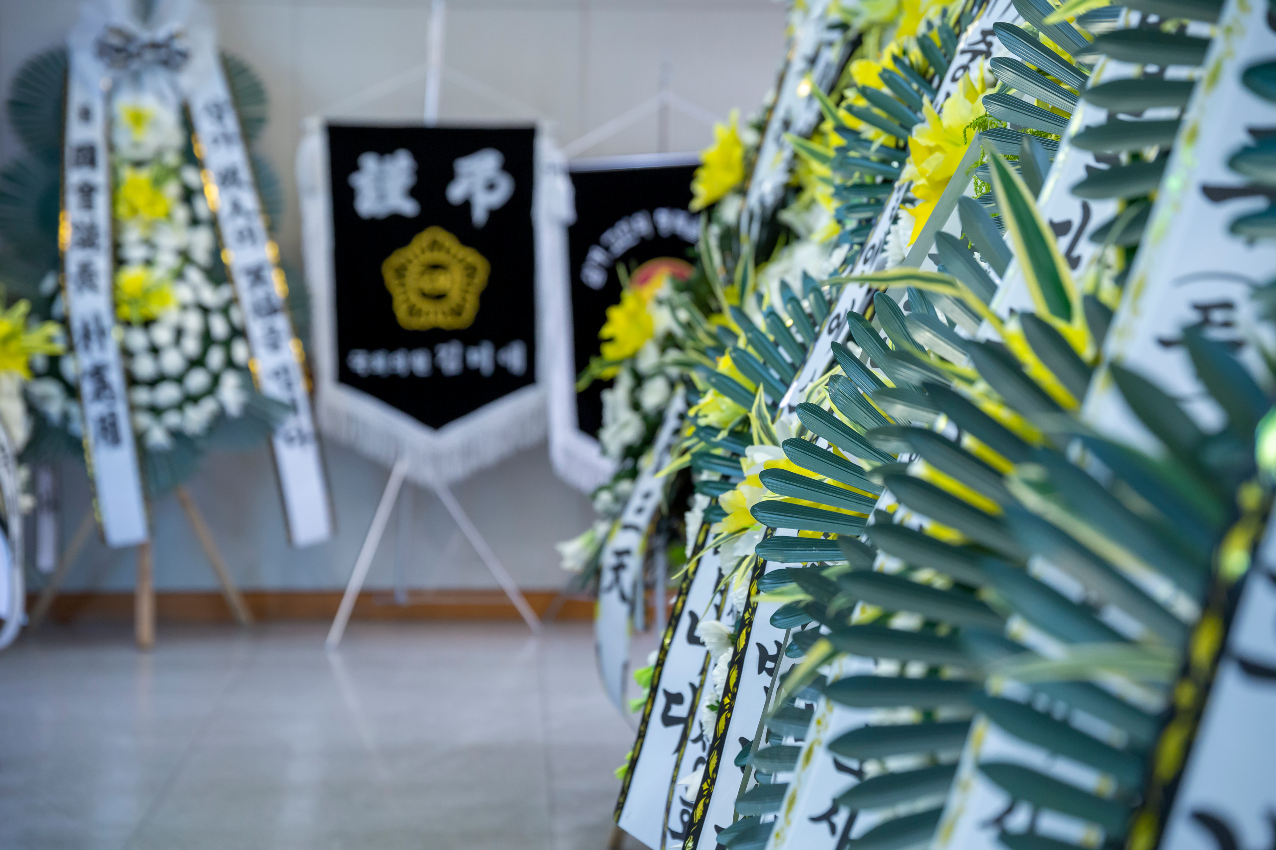 배경
